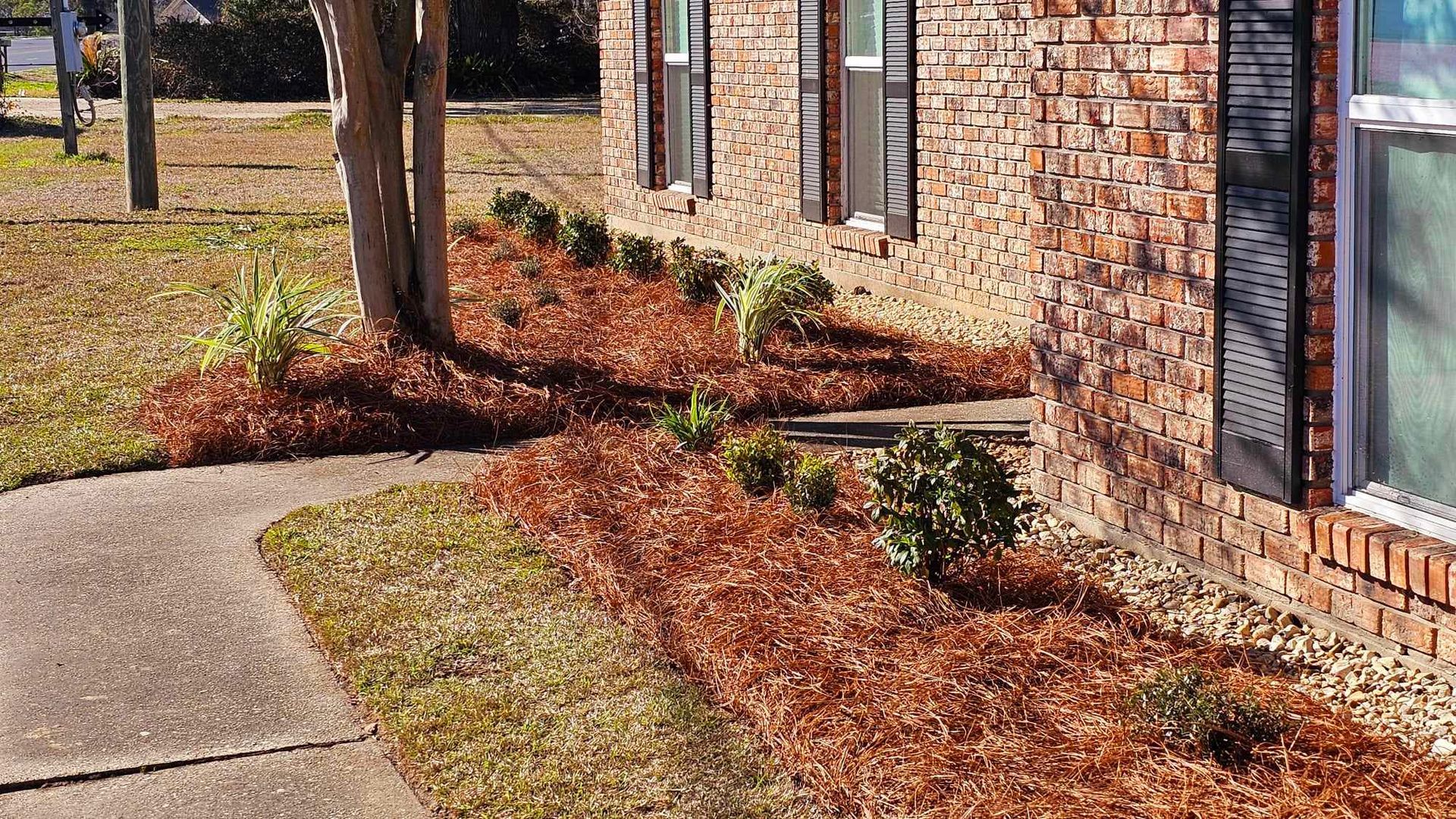 A brick house with a sidewalk and a row of mulch in front of it.