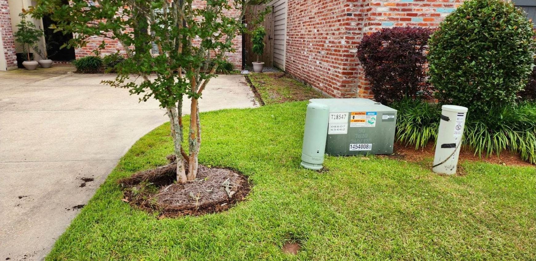 A lawn with a tree and a box on it in front of a brick house.