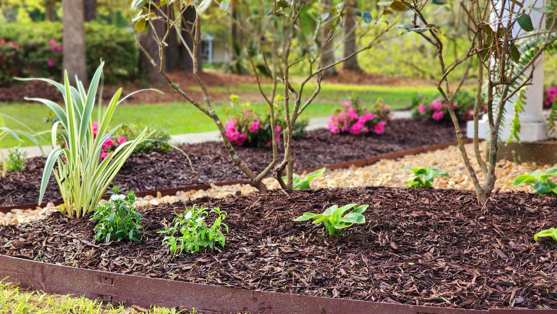 A garden filled with lots of plants and mulch.
