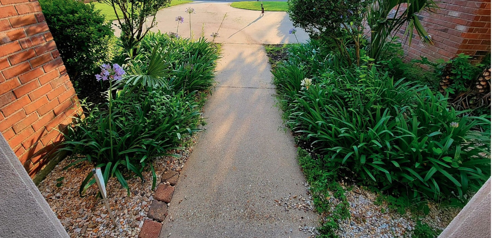 A walkway leading to a brick building surrounded by plants and bushes.