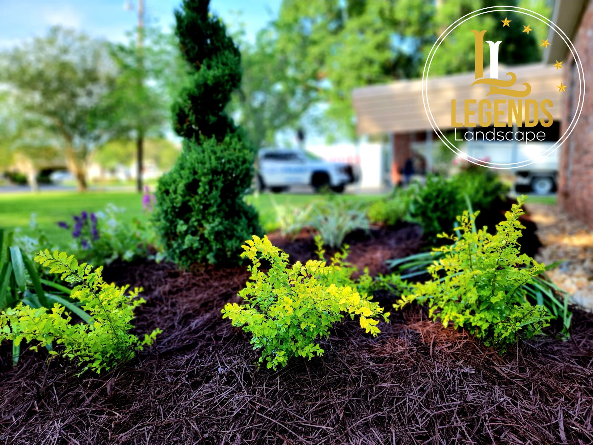 A garden with lots of plants and mulch in front of a house.
