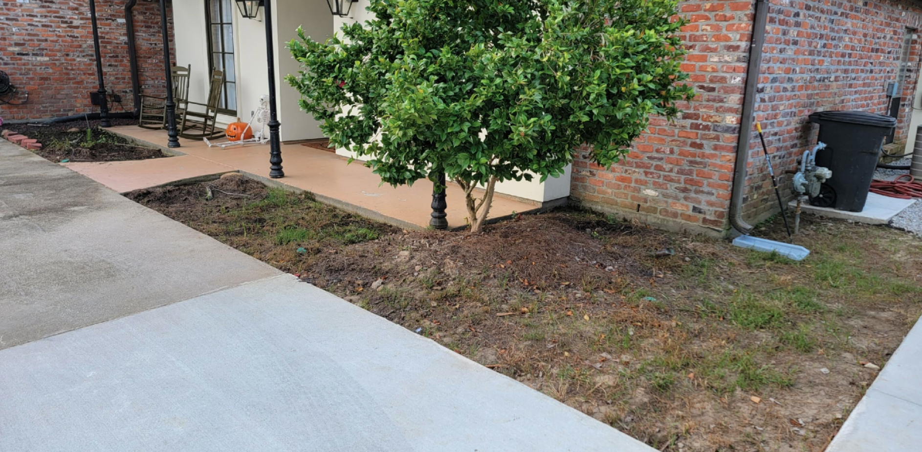 A brick house with a concrete driveway and a tree in front of it.