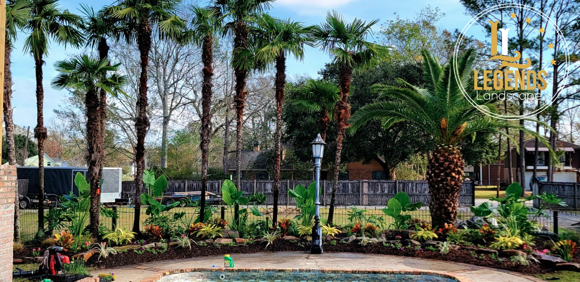 A swimming pool surrounded by palm trees in a park.