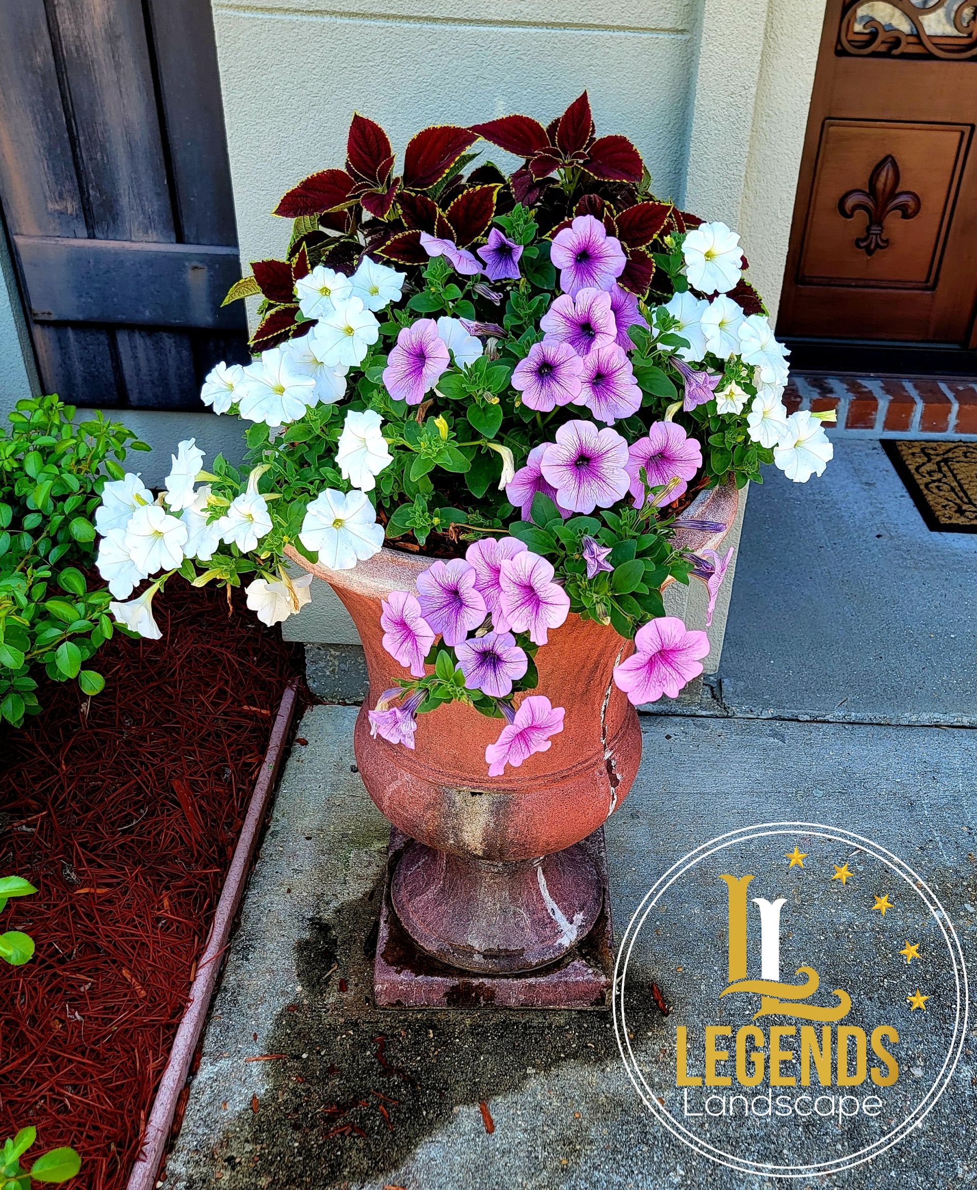 A planter filled with purple and white flowers has the legends logo on it