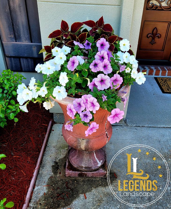 A planter filled with purple and white flowers has the legends logo on it