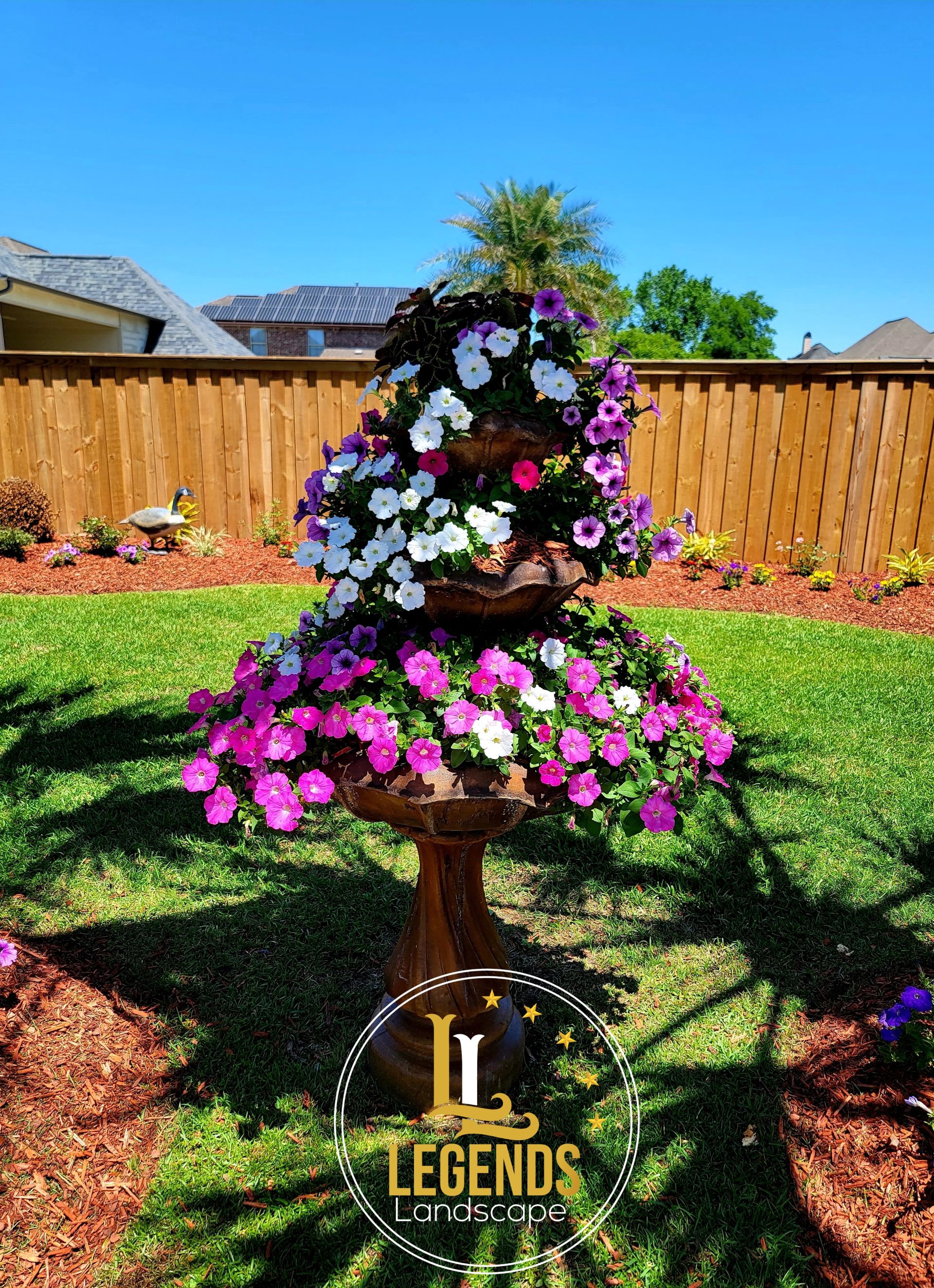 A bird bath filled with purple and white flowers in a yard.