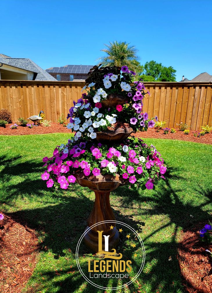 A bird bath filled with purple and white flowers in a yard.