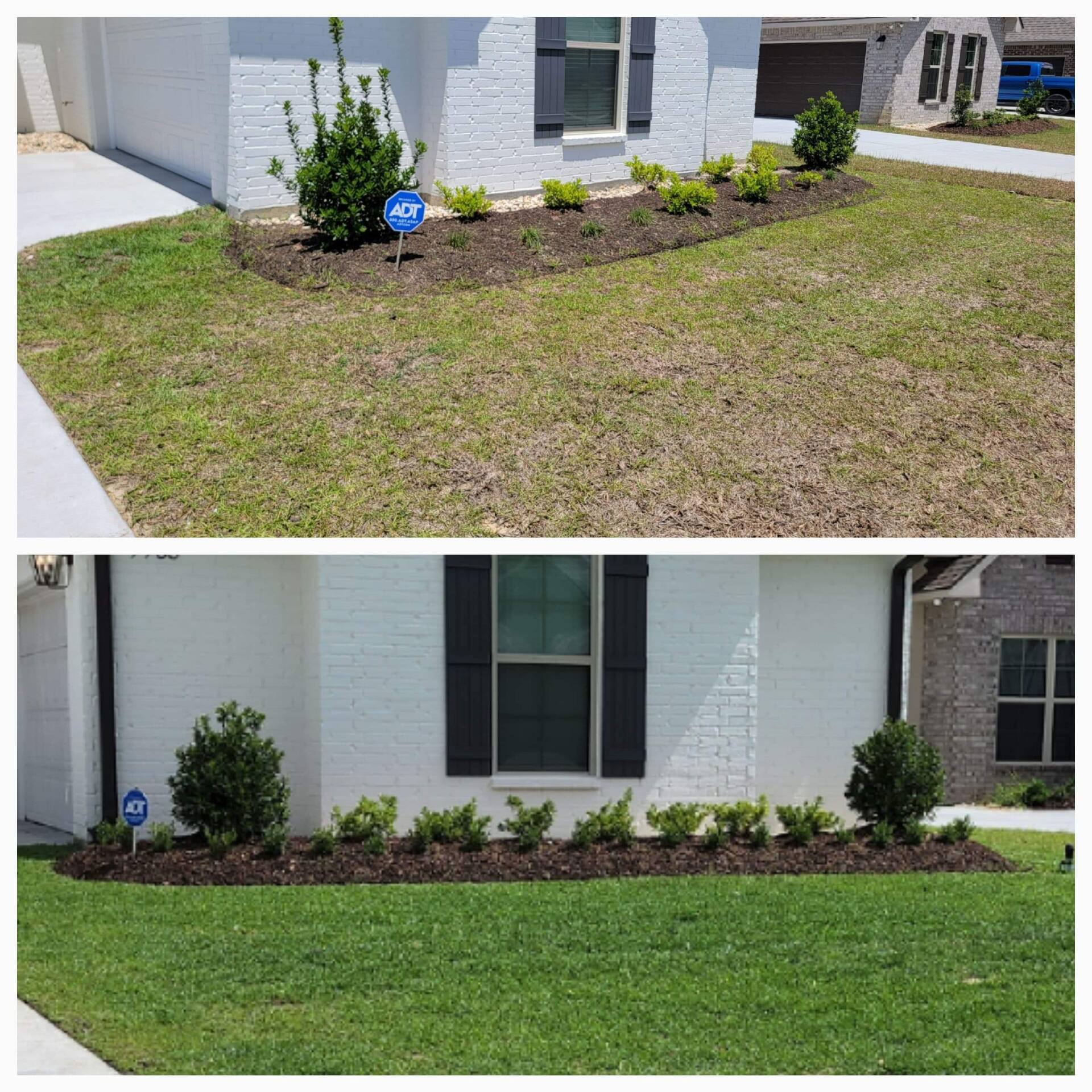 A before and after picture of a lawn in front of a house.