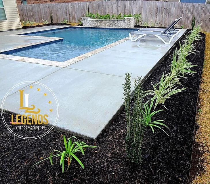 A large swimming pool is surrounded by plants and a fence.
