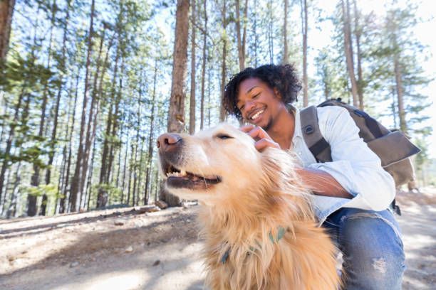 Man petting a golden retriever on a forest trail; both are smiling.