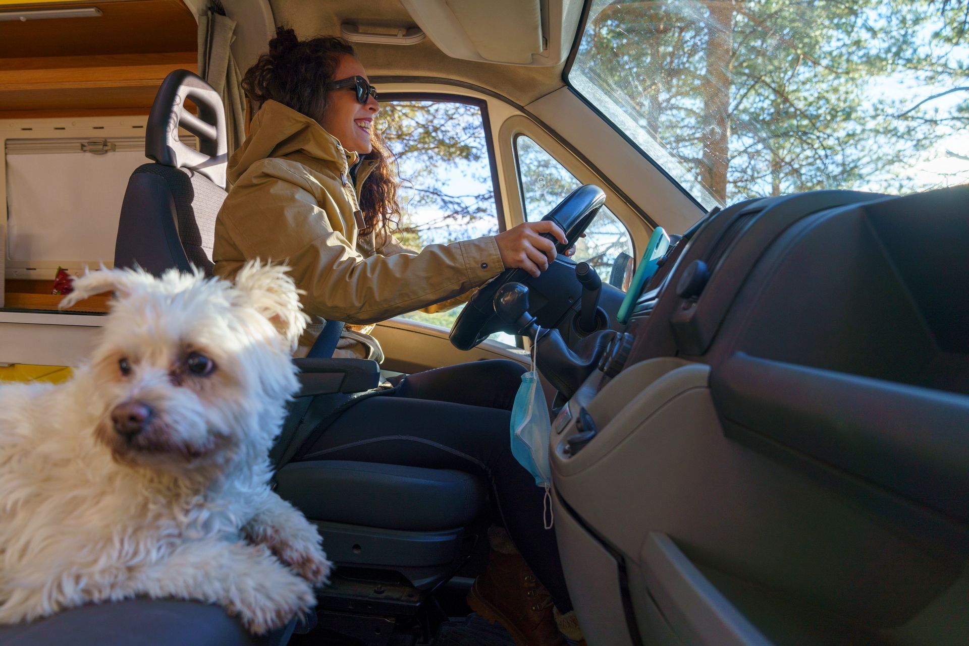 Woman driving a van with a white dog sitting on her lap; sunny outdoor setting.