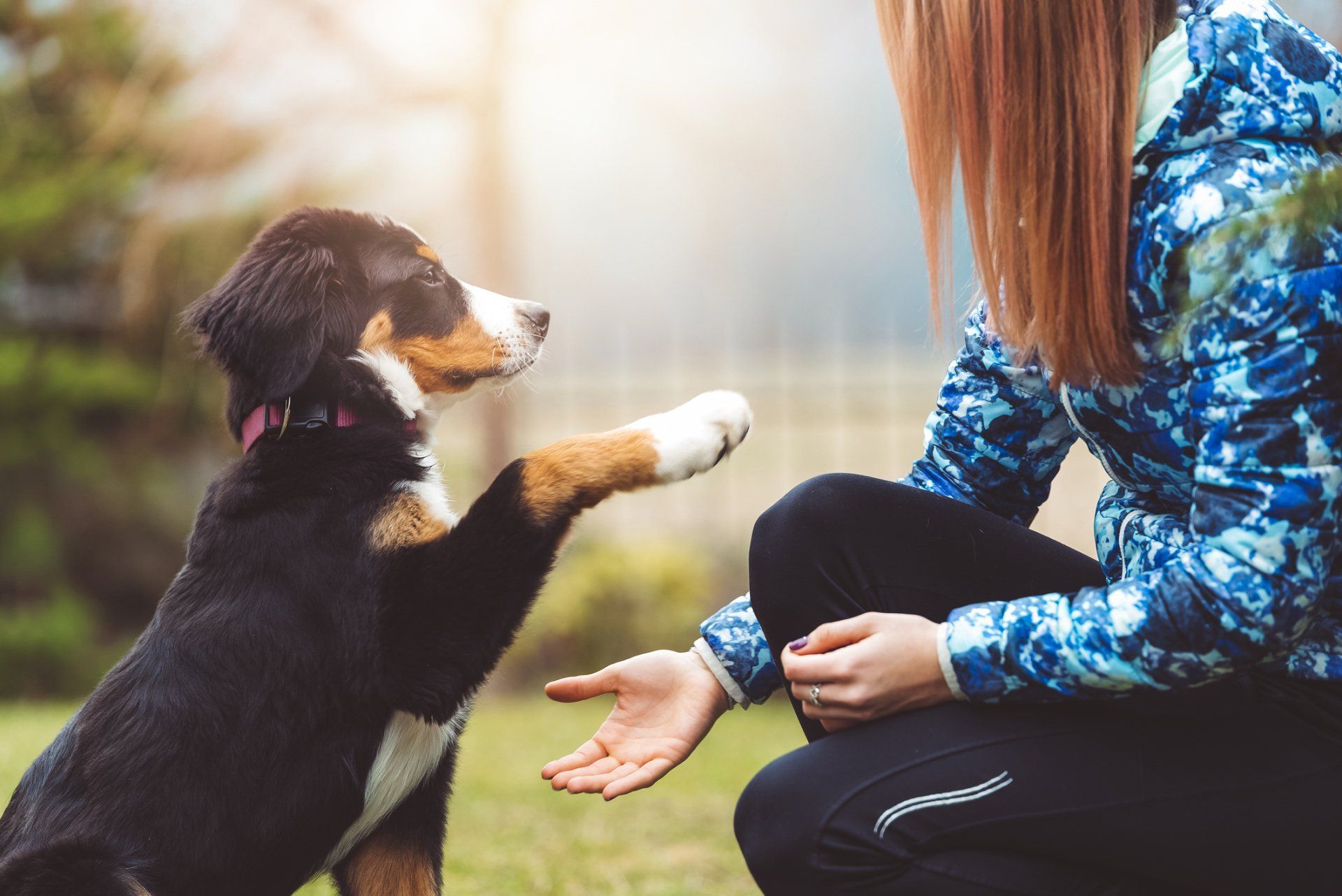 Woman Hugging a Dog — Loganville, GA — Paws & Parks