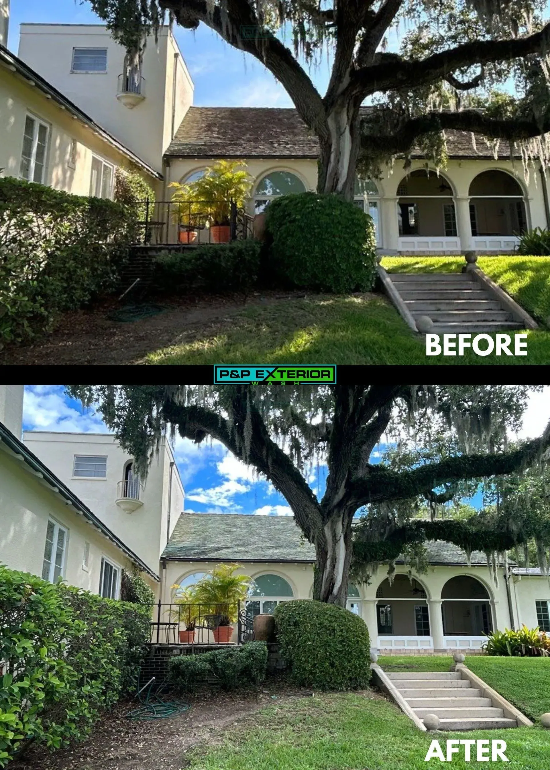 Before-and-after view of a landscaped courtyard with trimmed hedges, large oak tree, and white stucco building.