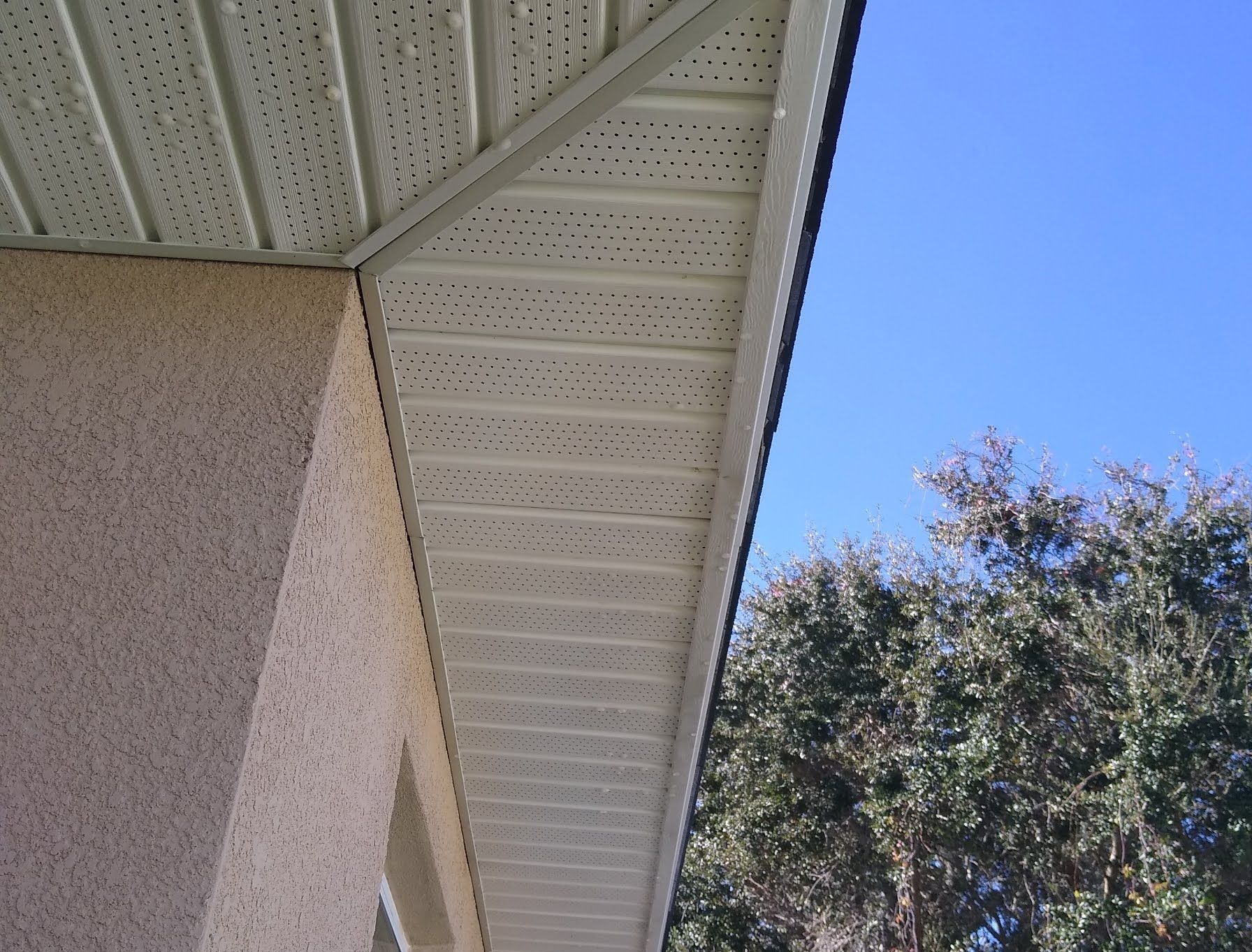 Under-eave view of a house roofline against a blue sky with a tree nearby