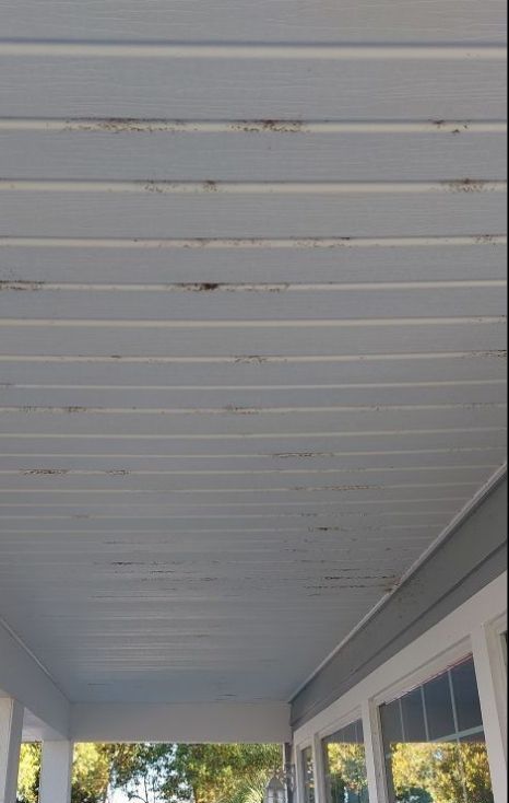 White porch ceiling with horizontal panels and a row of windows along the side wall.