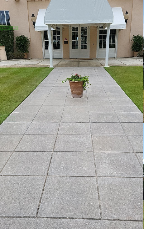 Potted plant on a tiled walkway leading to a house entrance with white columns and an awning