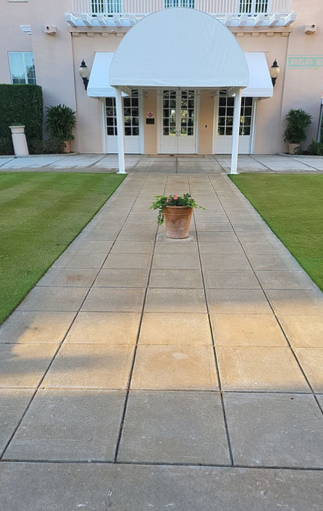 Front entrance walkway with a potted plant leading to a building under a white awning