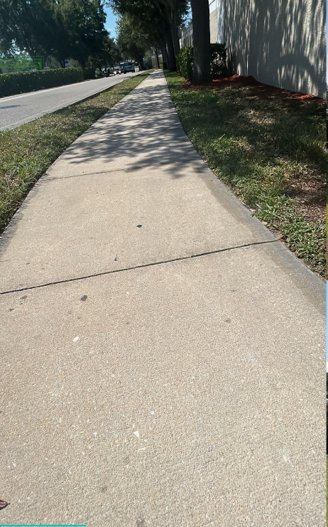 Sunlit sidewalk beside a grassy verge and building wall, with a road on the left.