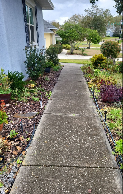 Concrete walkway leading through a landscaped front yard with shrubs and flowers beside a house