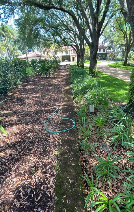 Shaded park path lined with trees and low shrubs, with a small building in the distance.