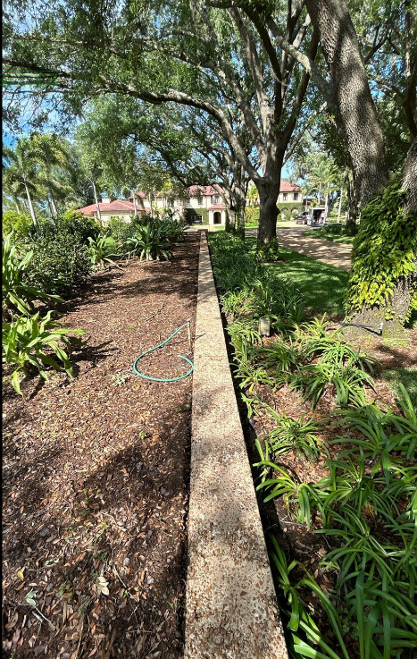 Tree-lined garden path with a low stone border and plants on both sides, leading toward buildings in the distance