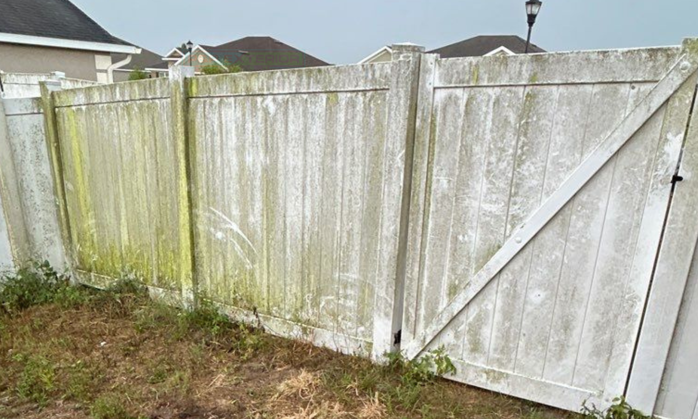 White wooden fence with green moss stains in a grassy backyard, with neighboring houses visible above it