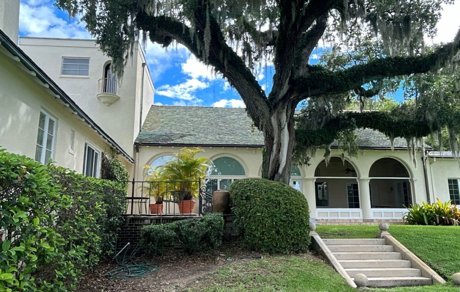 Courtyard with a large tree, white building, arched porch, and stone steps under a blue sky