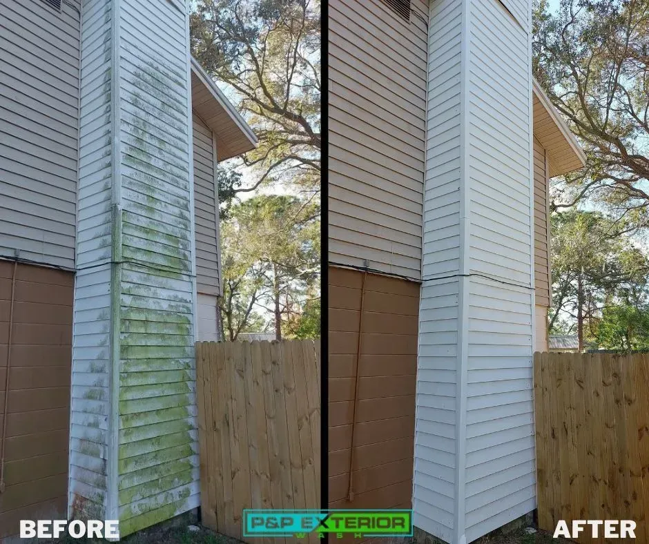 Before-and-after of house siding cleaned from green mildew stains to white siding.