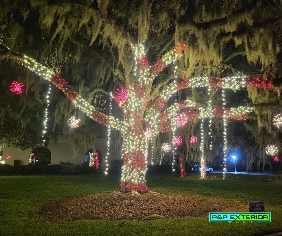 Tree wrapped in red, white, and green holiday lights in a park at night