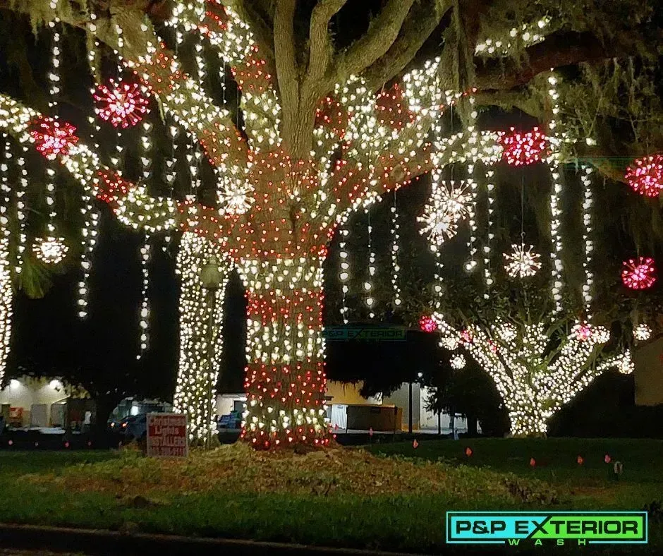 Large trees wrapped in white and red holiday lights at night in a decorated outdoor display