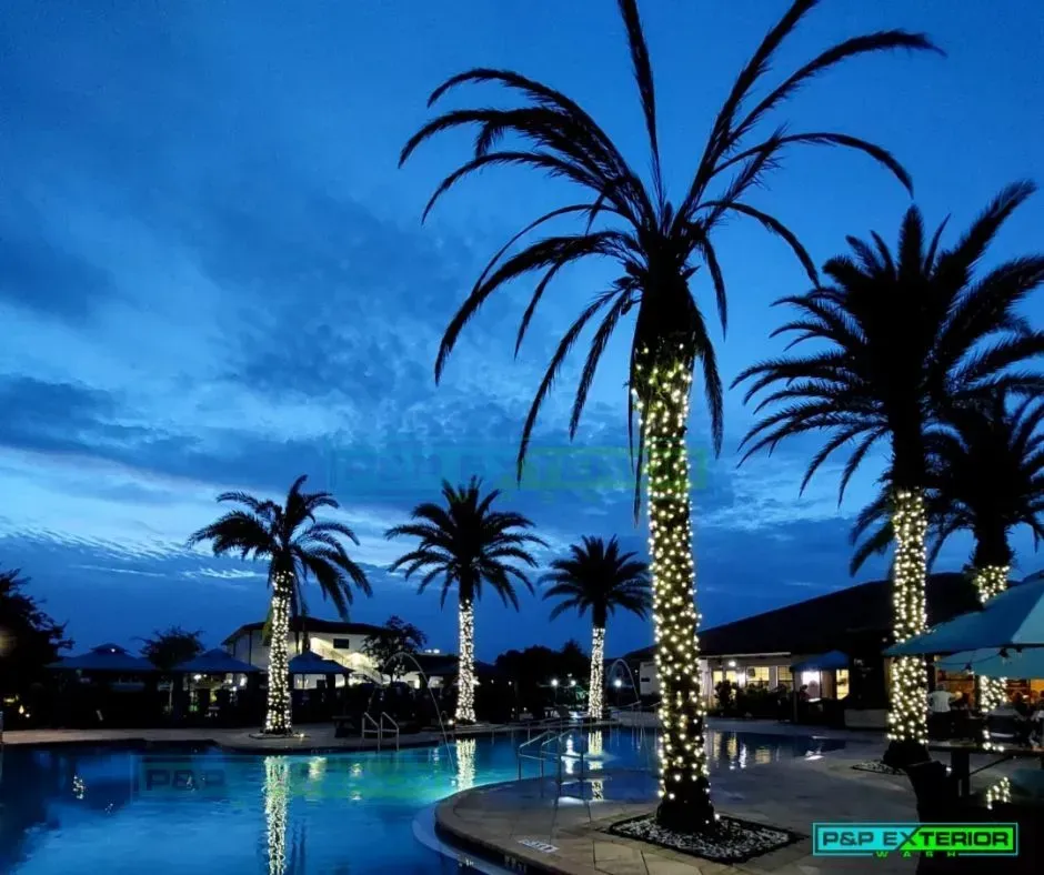 Blue-hour resort pool with illuminated palm trees and lights reflecting on the water