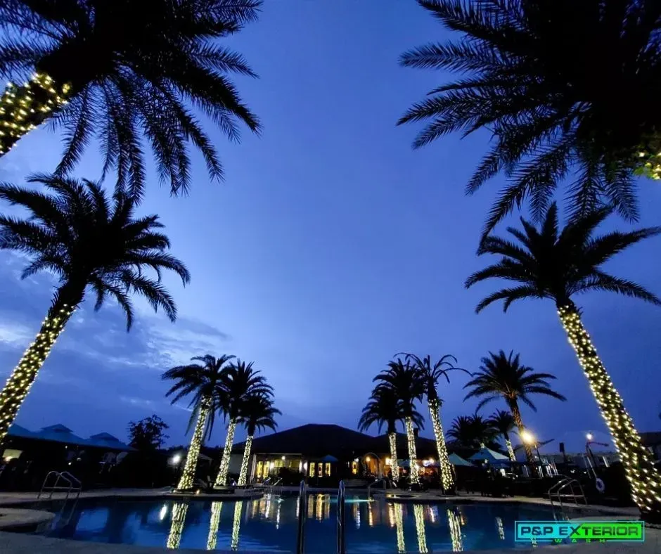 Palm trees lit by string lights reflect in a pool at dusk under a blue twilight sky.