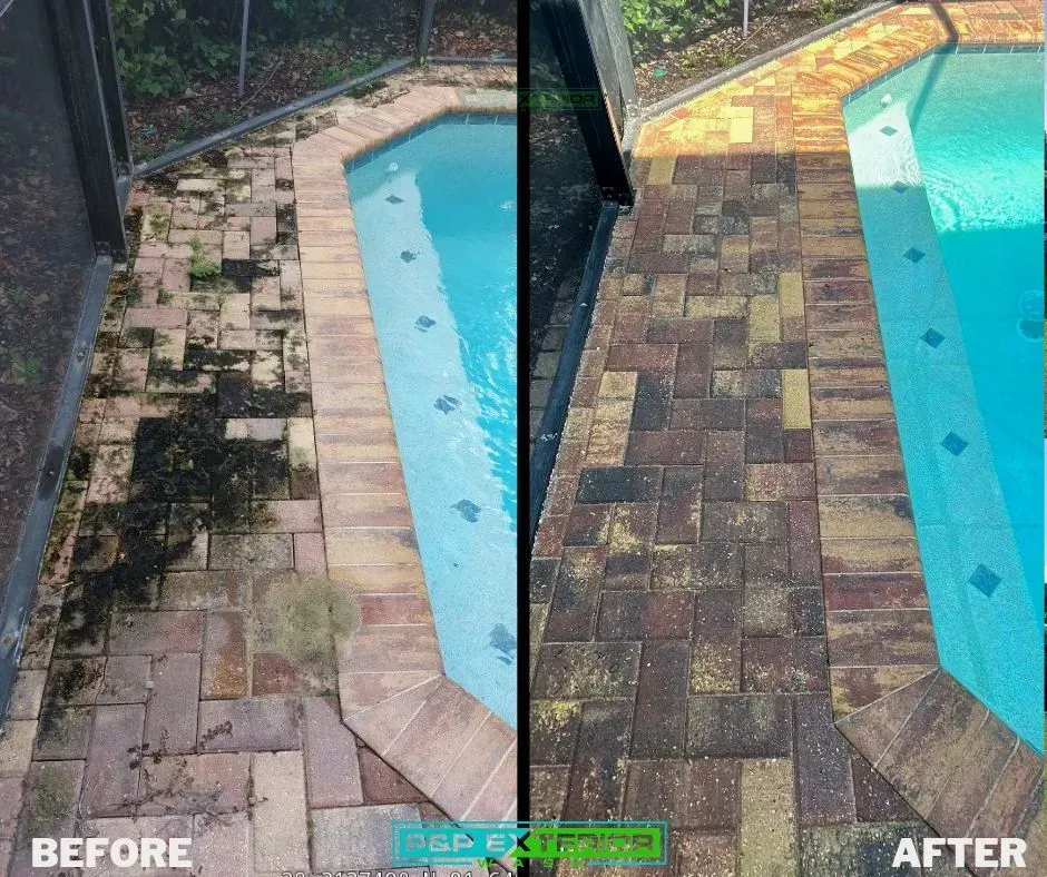 Before-and-after view of a pool deck cleaned from mossy, stained pavers to a brighter stone surface.