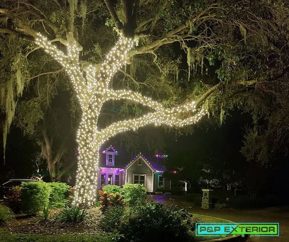 Large tree and house decorated with white Christmas lights at night.