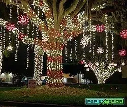 Tree wrapped in red and white holiday lights in a dark outdoor display park