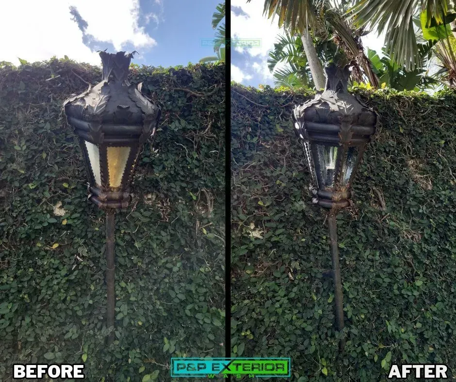 Before-and-after of a black lantern wall light over ivy, with clearer trim and brighter glass after restoration.
