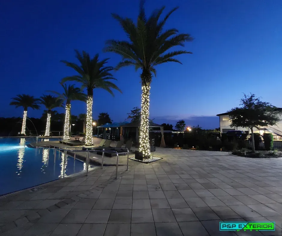 Palm-lined pool deck at dusk with blue water, lit trunks, and a deep twilight sky.