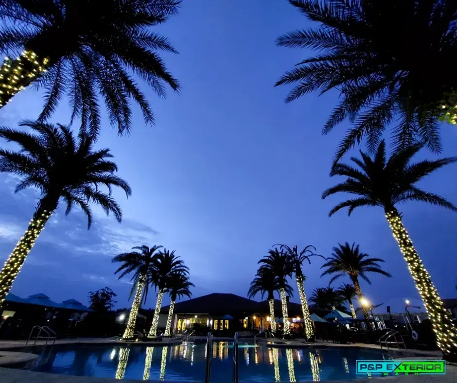 Palm trees lit at dusk beside a glowing resort pool under a deep blue sky.