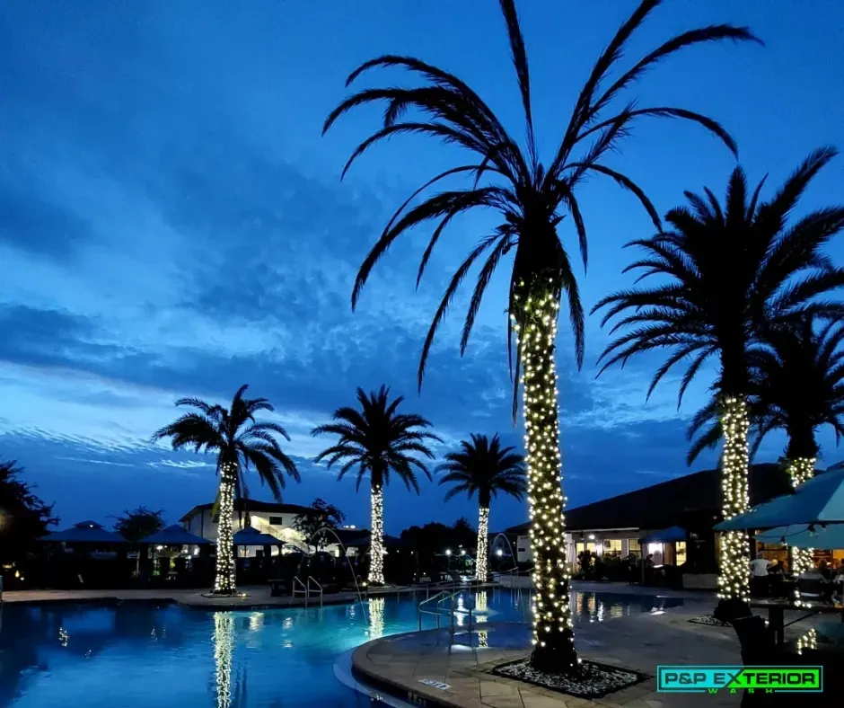 Palm trees lit at a blue-hour resort pool with shimmering reflections and lounge buildings in the background