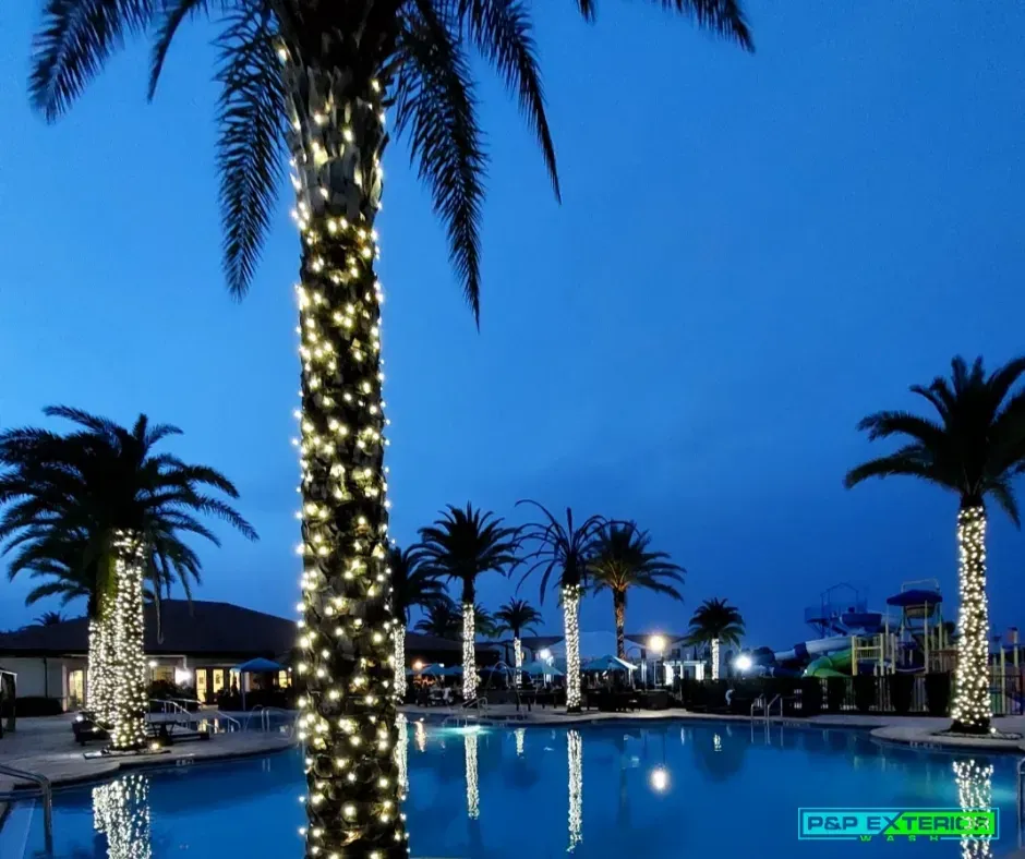 Palm trees wrapped in lights beside a blue-lit pool at dusk