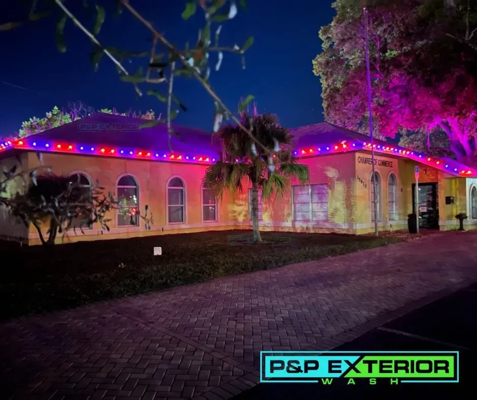 One-story building lit with purple and red roof lights at night, with palm trees and brick driveway.