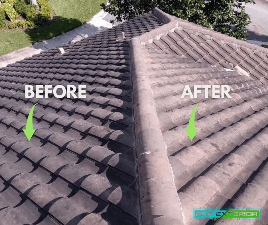 Rooﬂine before-and-after view of a cleaned tile roof, labeled “BEFORE” and “AFTER” with green arrows.