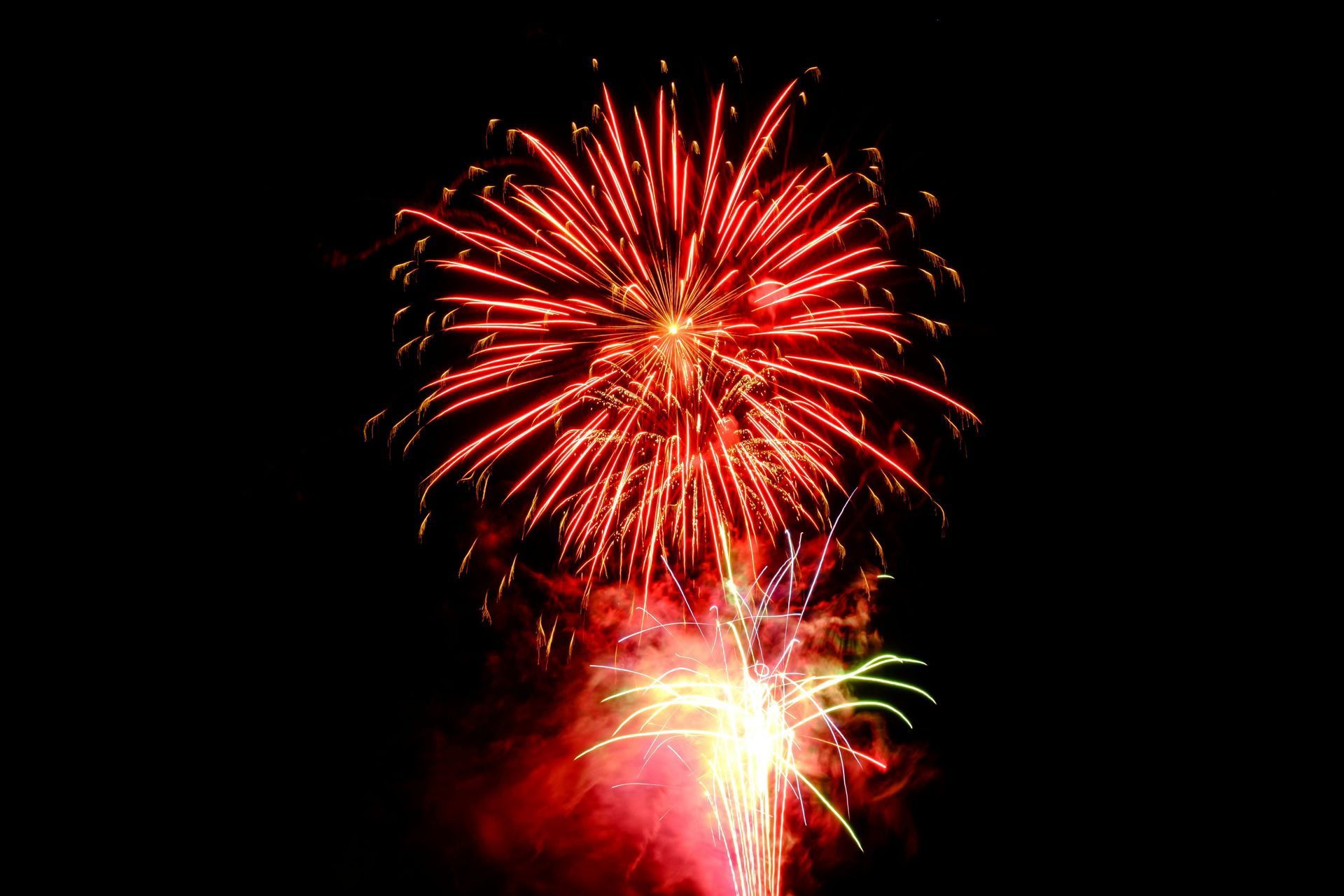 A fireworks display is going off in the night sky