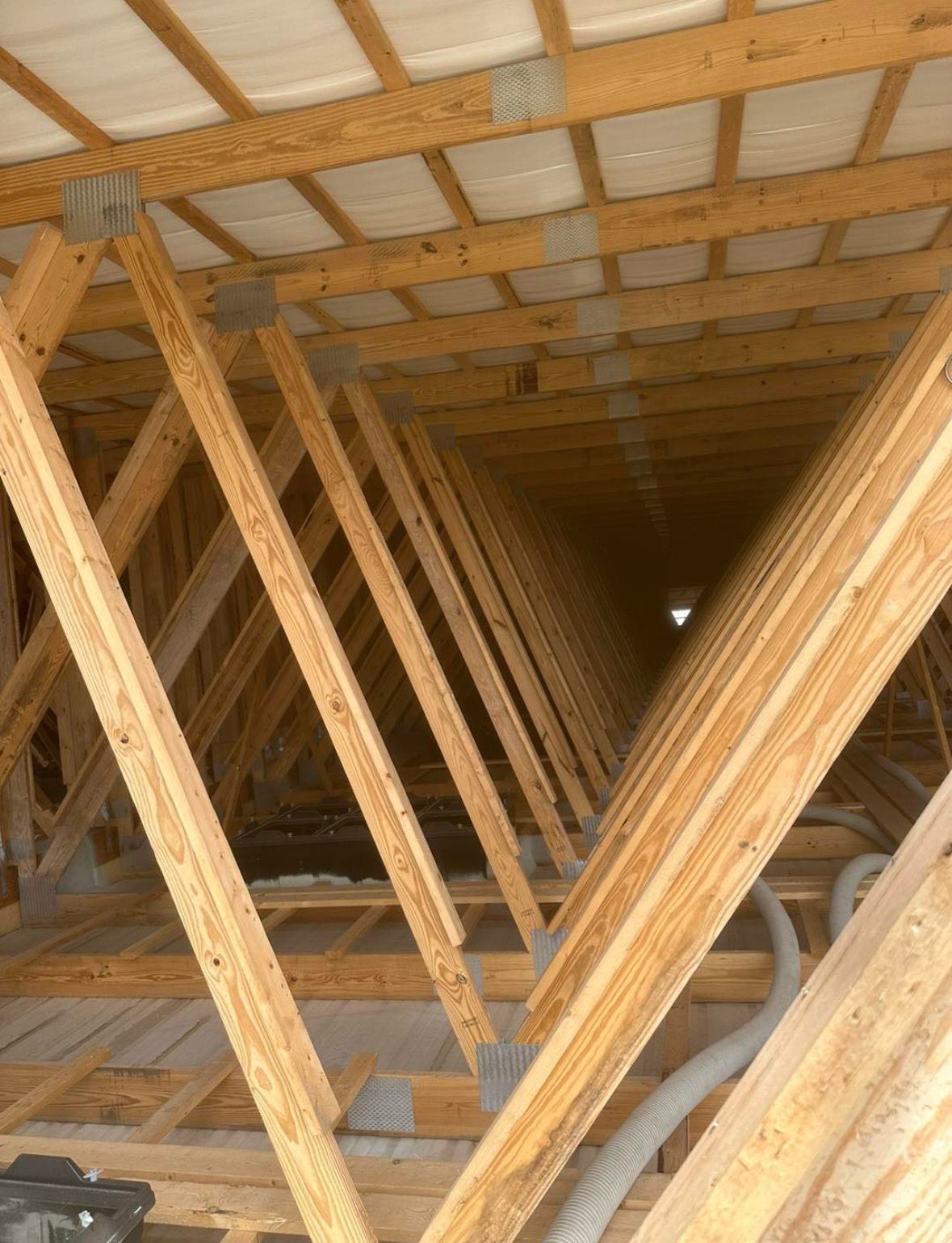 Inside an attic: wooden roof trusses extend into the distance, with a light source visible.