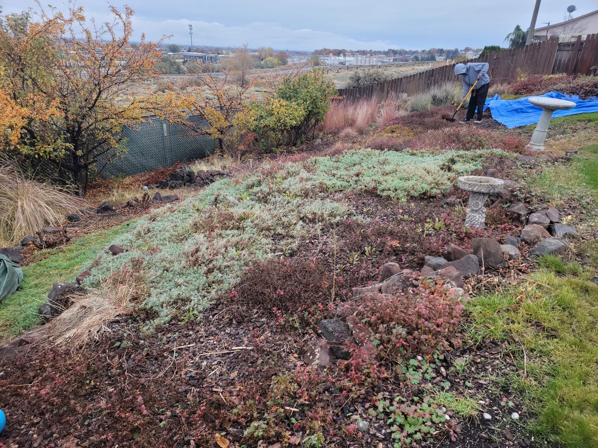 Rocky garden slope with autumn plants and a person working near blue tarps in the distance