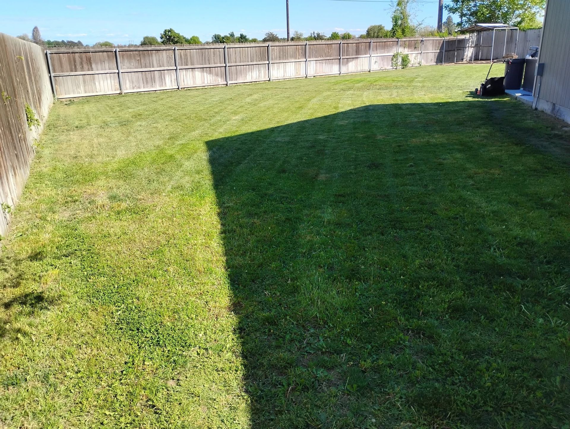 Sunny backyard with a green lawn, wooden fence, and a large house shadow across the grass.