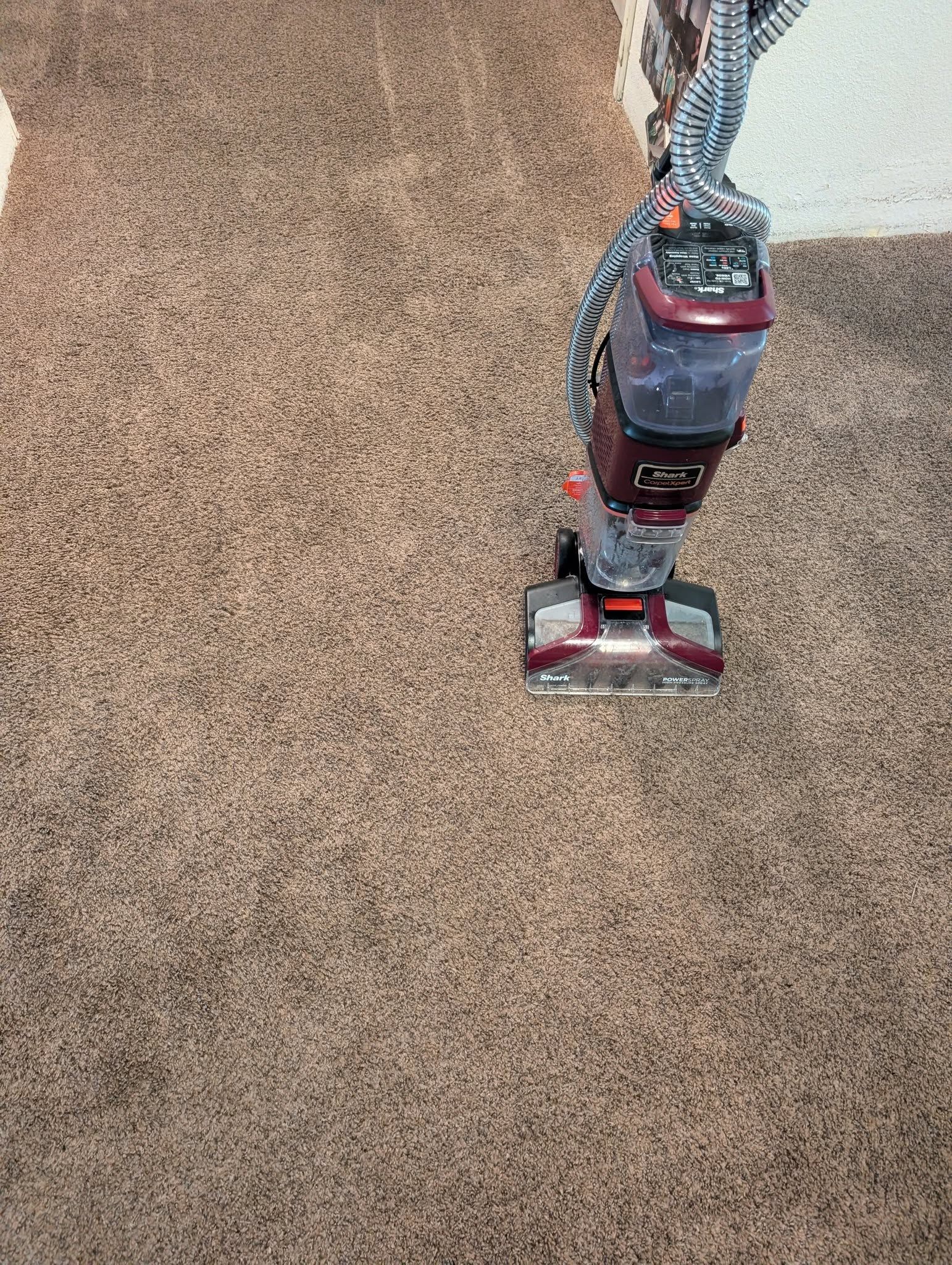 Red-and-black upright vacuum cleaning a beige carpet with visible vacuum path