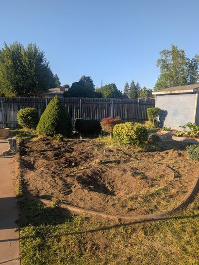 Backyard garden with dry mulch, shrubs, wooden fence, and a brick wall under a clear blue sky