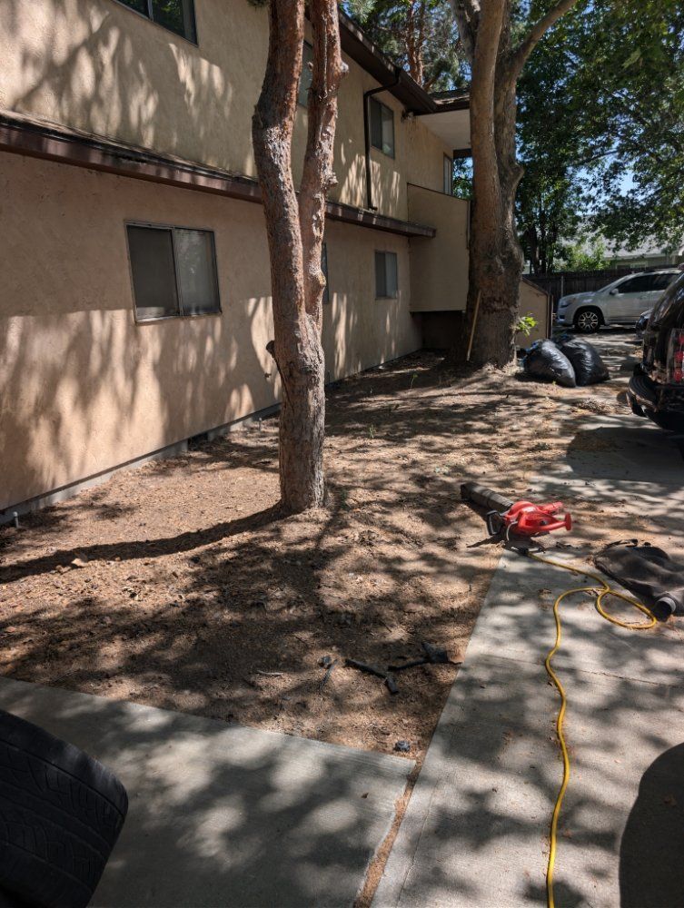 Apartment building walkway with trees, scattered tools, and parked cars in the background
