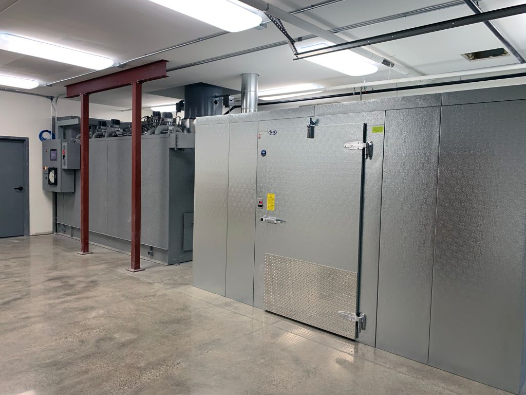 Industrial room with stainless steel equipment cabinets and concrete floor under fluorescent lights